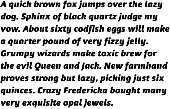 FF Nuvo Offc Black Italic