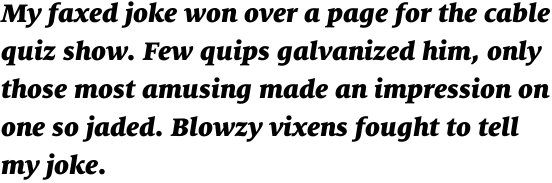 FF Milo Serif Offc Black Italic