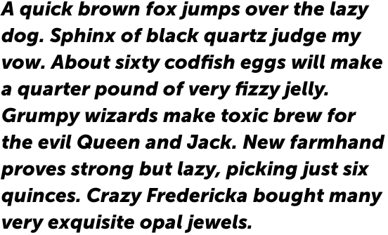 Museo Sans 900 Italic OT