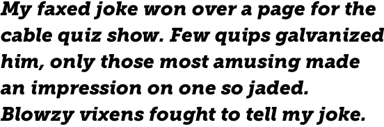 Museo Slab 900 Italic OT
