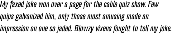FF Hydra OT Book Italic