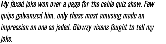 FF Hydra Offc Book Italic