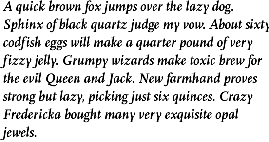FF Scala Offc Pro Bold Italic