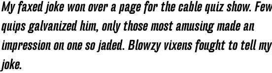 FF Hydra Offc Medium Italic