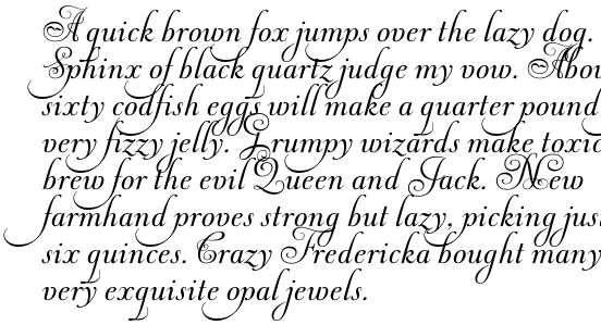 Andrade Pro Script
