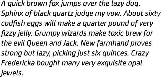 FS Joey Medium Italic OT