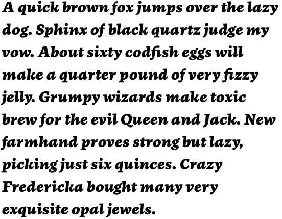 FF More OT Wide Black Italic