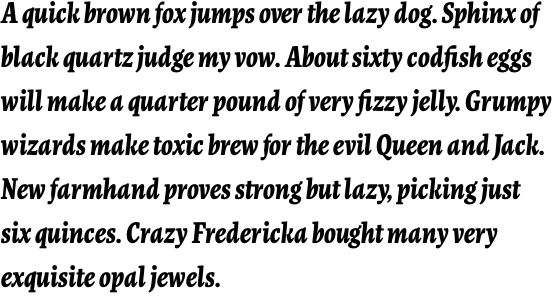 FF More OT Condensed Black Italic