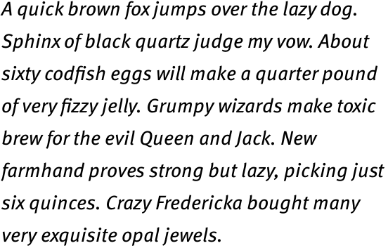 FF Meta Hebrew Book Italic