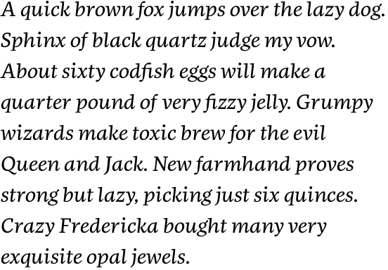 FF More OT Wide Book Italic