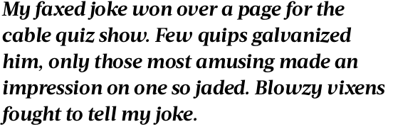 Acta Bold Italic OT