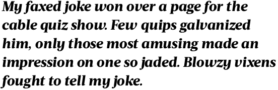 Acta Extra Bold Italic OT