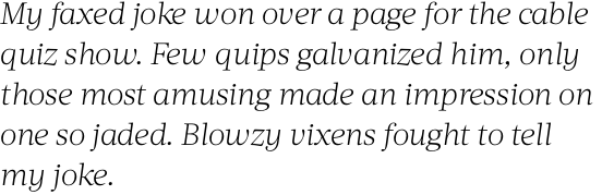 Acta Light Italic OT