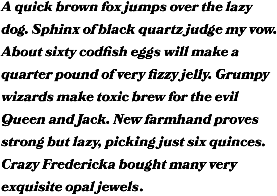 Bookmania Black Italic OT