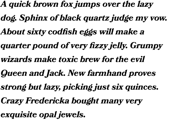 Bookmania Bold Italic OT