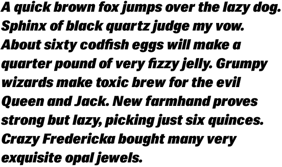 Siri Black Italic OT
