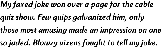 Berling Nova Sans Pro Bold Italic