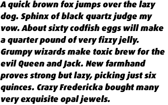 FF Dax Pro Black Italic