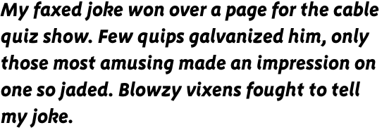 FF Megano OT Bold Italic