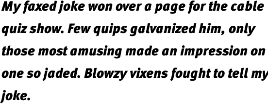 FF Meta OT Black Italic