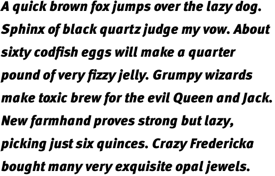 FF Meta Pro Black Italic