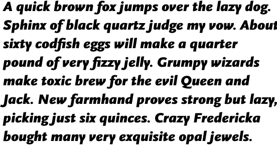 FF Scala Sans Pro Black Italic