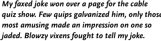 FF Scala Sans Pro Bold Italic