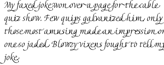 Elysa Light Italic Swash 2 OT