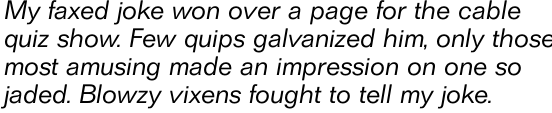 Folio B Light Italic OT
