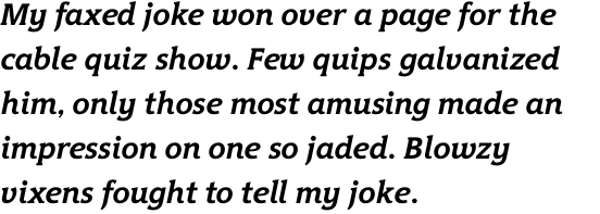 Hybrid Bold Italic OT