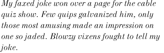 New Standard Italic OT