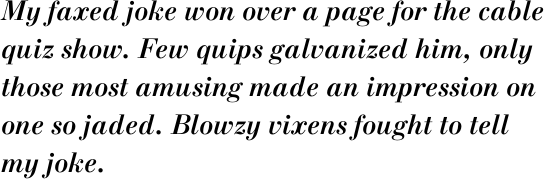 New Standard Bold Italic OT