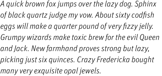 FF Unit Pro Light Italic
