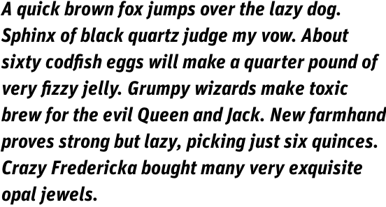 FF Unit OT Bold Italic
