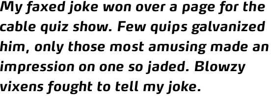 FF Max Pro Bold Italic
