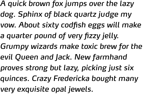 FF Max OT Book Italic