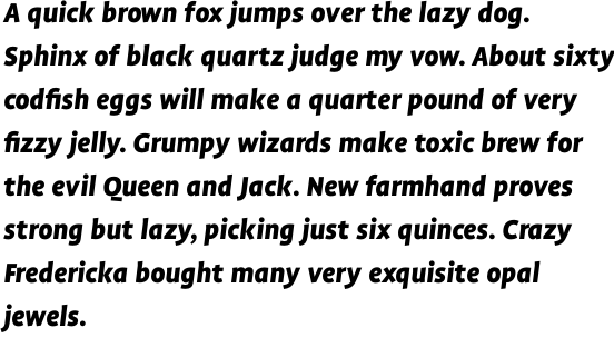 FF Profile OT Black Italic