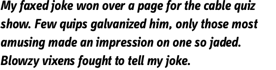 FF Info Display OT Bold Italic