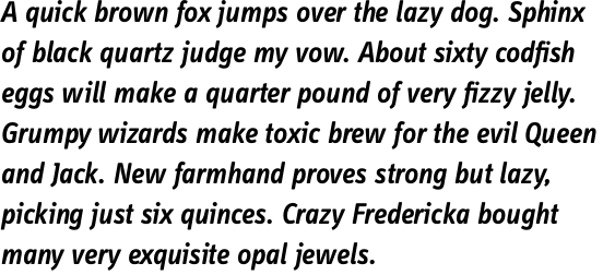 FF Info Display OT Semi Bold Italic
