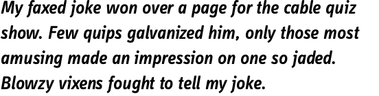 FF Info Display OT Semi Bold Italic