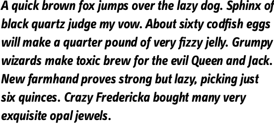 FF Info Text OT Bold Italic