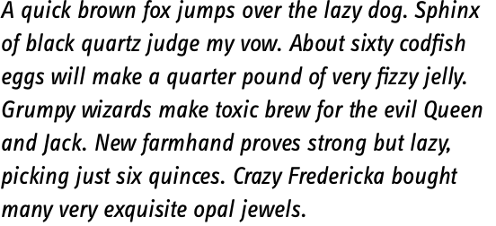 FF Info Text OT Book Italic
