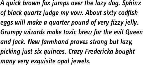 FF Info Text OT Medium Italic