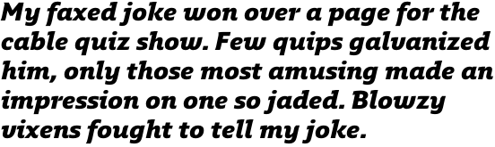 Fresco Informal Sans Black Italic OT
