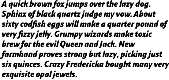 Fresco Sans Condensed Black Italic OT