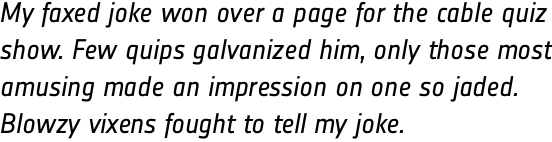 Notes Regular Italic TF OT